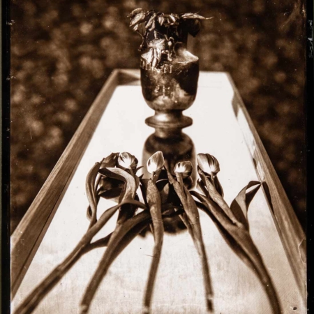 Borut Peterlin Photography