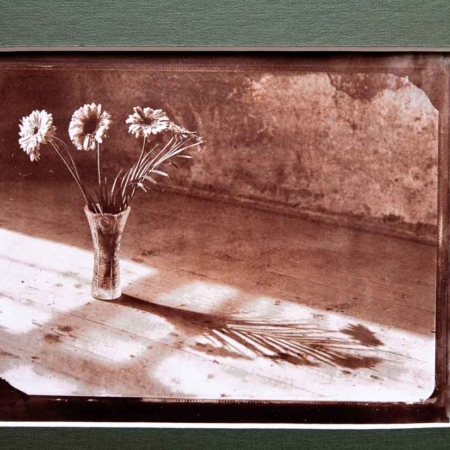 Borut Peterlin Photography